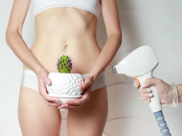 Depilación Láser Bikini
